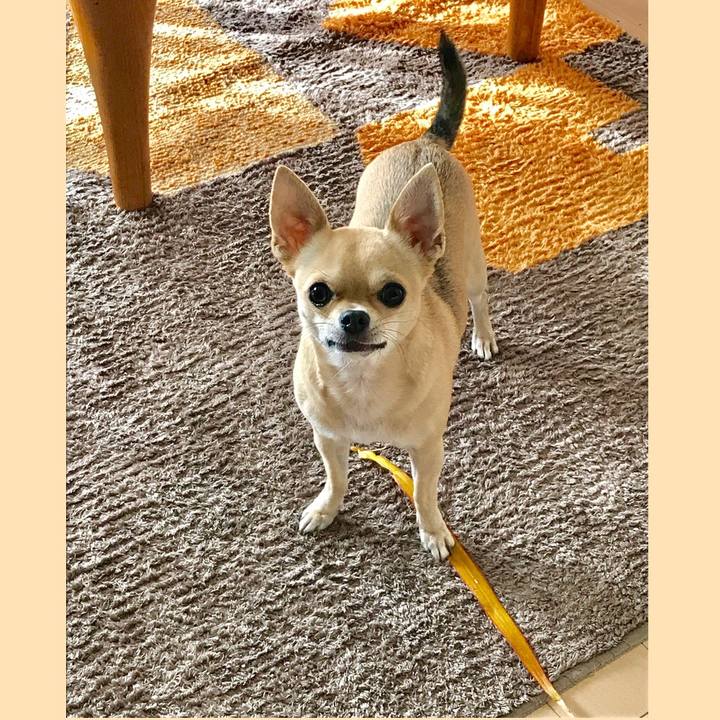 22e9b193 ed56 46d7 a5df 0dbdf3d1b3dc 1510363798289