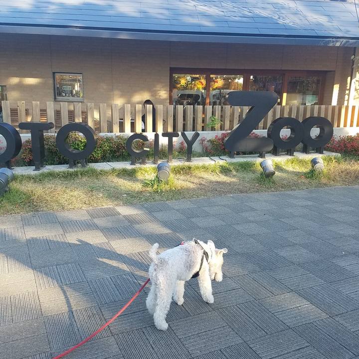 22ea718a 17e6 416e a183 188b0ea8327c 1572705673386