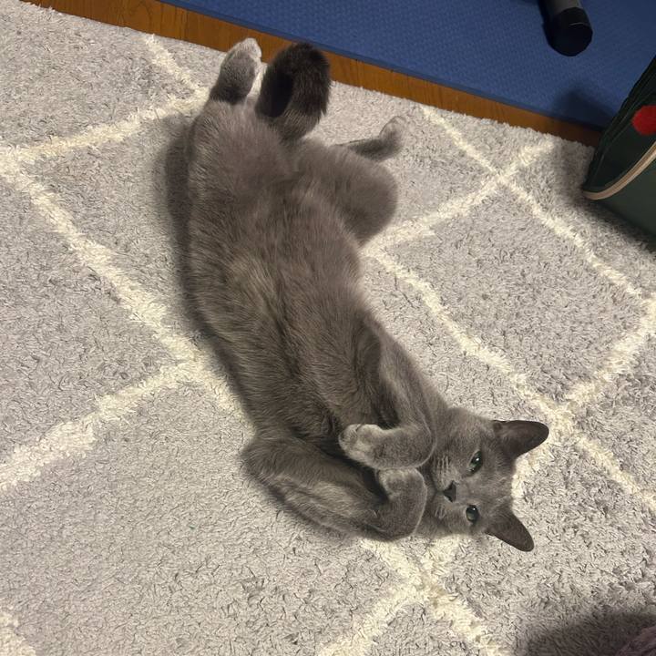 22ea9102 c75c 4f55 aa2c 80637a1d2281 1714452964700