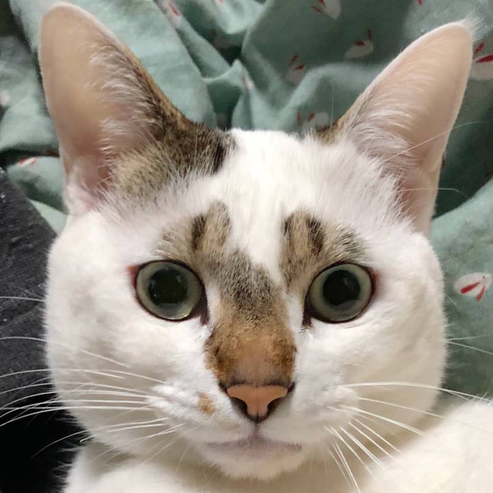 22eab13c f8a3 4b57 97e4 7db50e6d025e 1520171985299