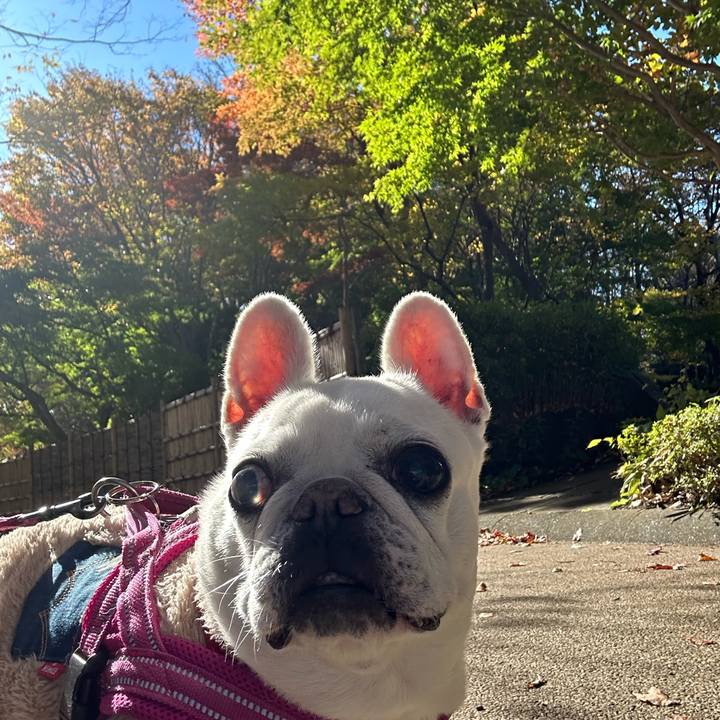 22eab96a d2df 4463 8b9b eccdc14a9767 1732452113524