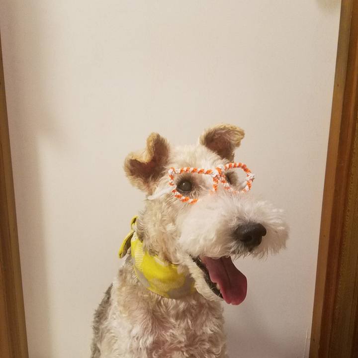 22eae9b5 fd36 4f03 92c7 0d125c23c633 1568201269634