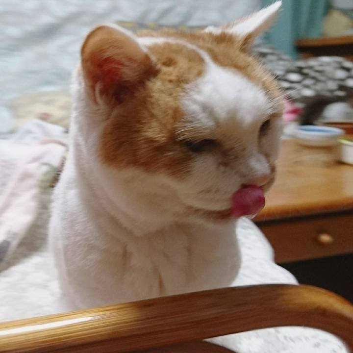 22eaec04 79c5 448a 8b6e 00de4e965c5e 1577537995407