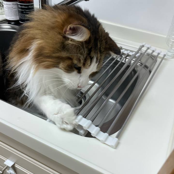 22eb0b66 af40 4803 bfef 0580f24db59f 1725825433323