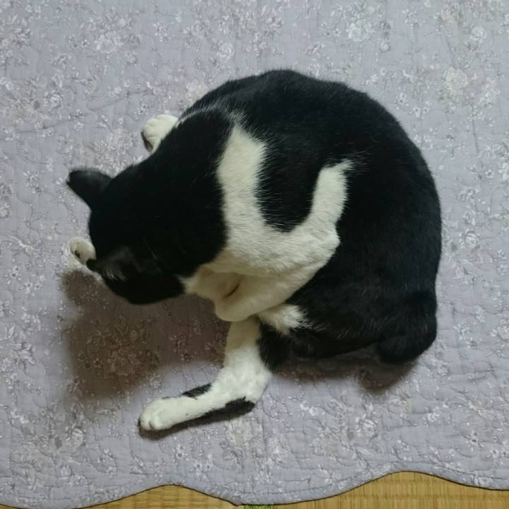 22eb5cef 0e2a 474a 94e3 49e8d782d351 1522797386170