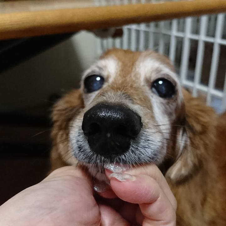 22eb6707 e00a 4abf b66b fb5f02581596 1508812179839