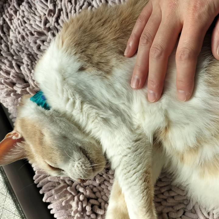 22eb745e 03b7 417c 8fc5 0bb123e8374c 1647734564955