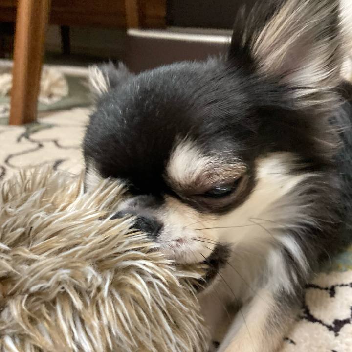 22eb96c1 4cd6 4168 99b7 8748dd39919d 1621691404769