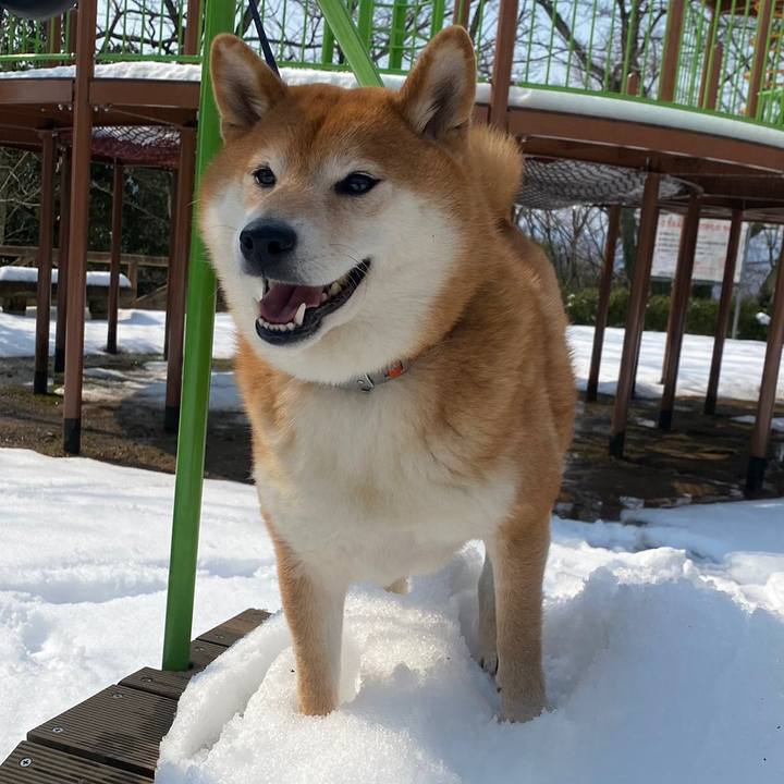 22eb9b96 5ae4 4e91 9f2b df670749c184 1615385980449