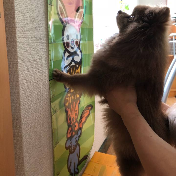 22eba7f3 1b5a 4dd0 8a7e ff02a2eb1468 1533813593755