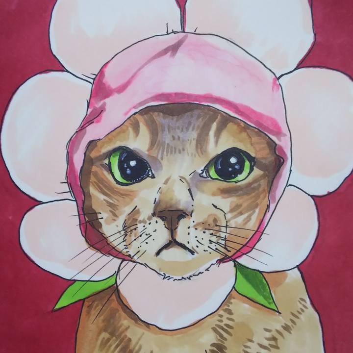 22ebbec2 4cc1 4c3e b155 4b194291260f 1573371811711