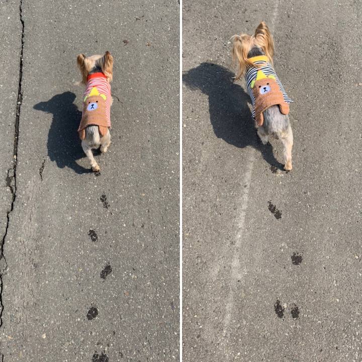 22ebc1c4 ecb2 4763 96d4 456bfc09275b 1616751364674