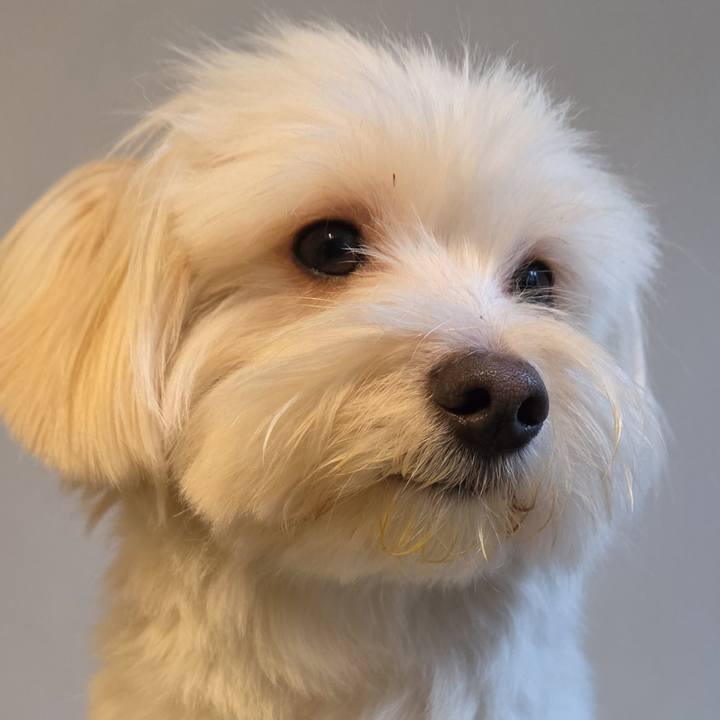 22ebd293 4a65 4dca 8039 05620c5661b1 1767955538587