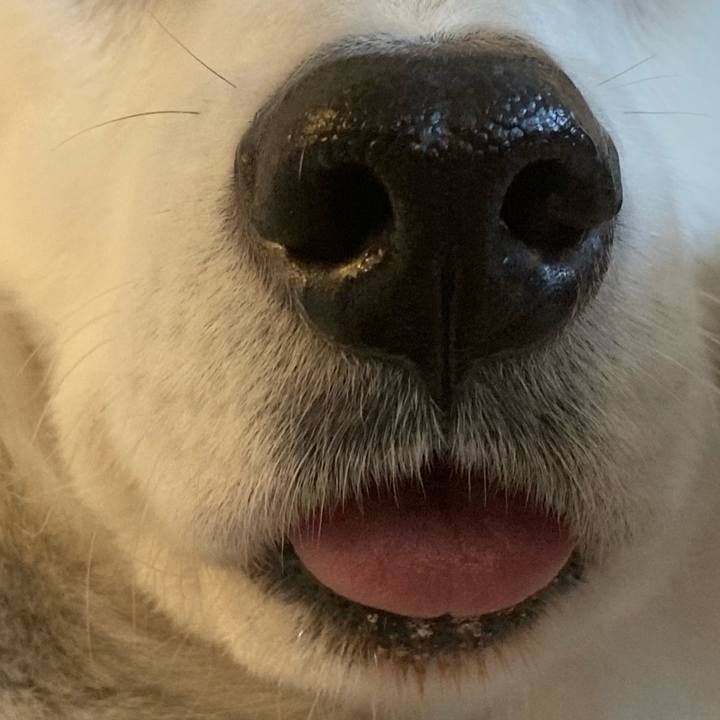 22ebe8a9 d861 412d b980 89ab5a9f5078 1706359817614