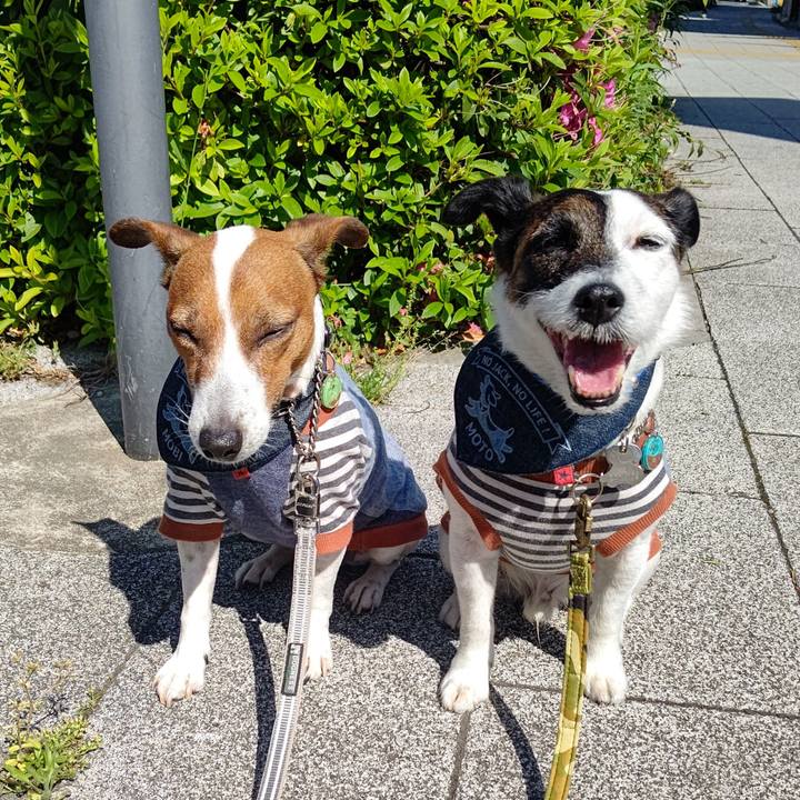 22ebfbc2 7ea7 49d8 bbcb dc4a152ba983 1683074005382