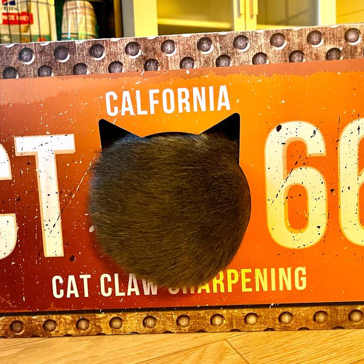 22ec01e7 b585 454a 95cf b0b2702f442a 1662422310934