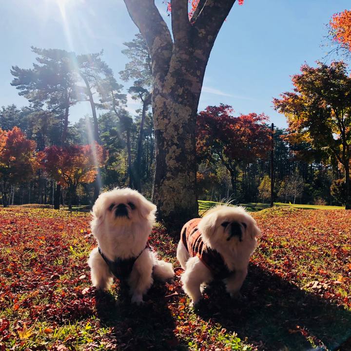 22ec13bc 85be 41f4 b72a 9434d5d10d63 1572872216232