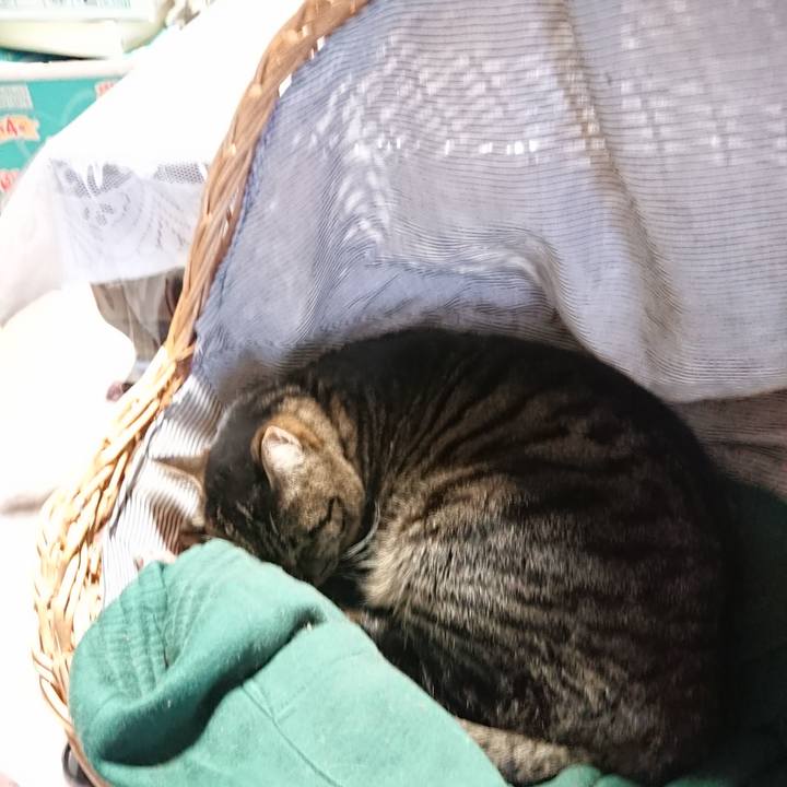 22ec32e9 23a5 4517 bdc6 4d26e4b26853 1644282172698