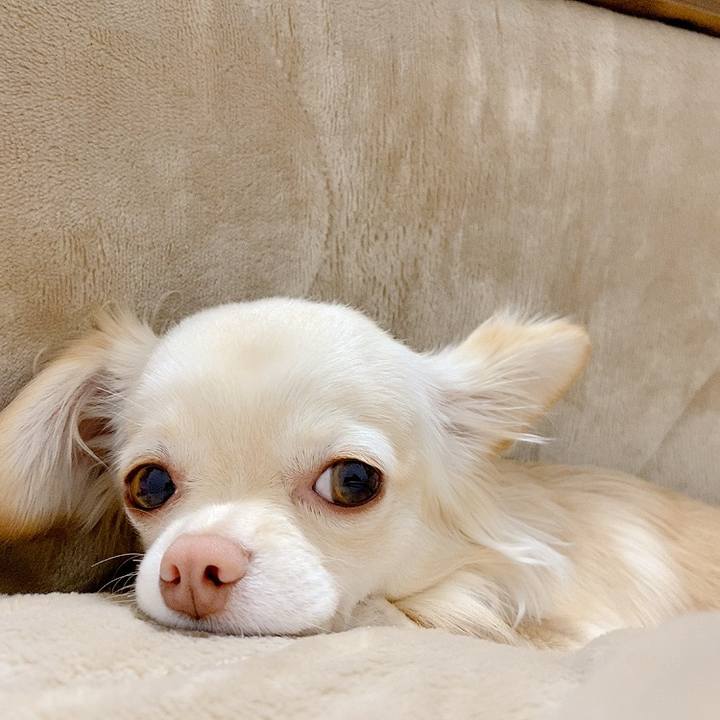 22ec4a9a 5e5c 4059 8603 e19240bf39b4 1615181970813