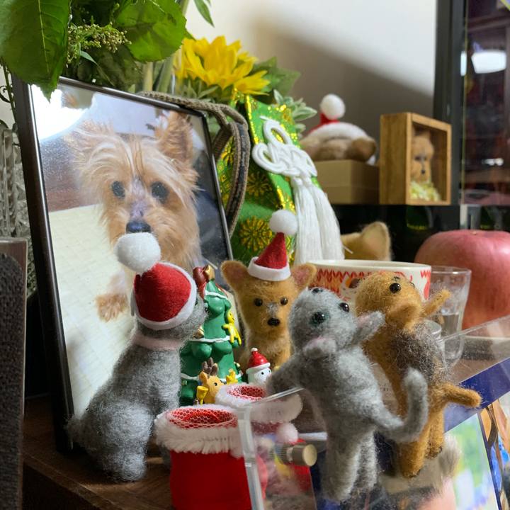 22ec4ff0 abb1 48ec bbde b6c0f8f7fe80 1576019568938