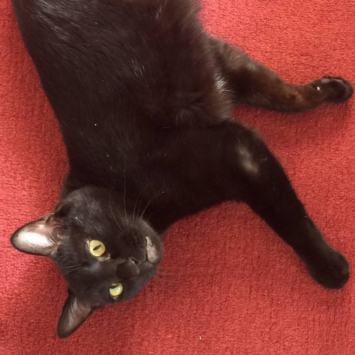 22ec6dcb 552a 4f65 b1cd c1448fccf0a6 1520137978641