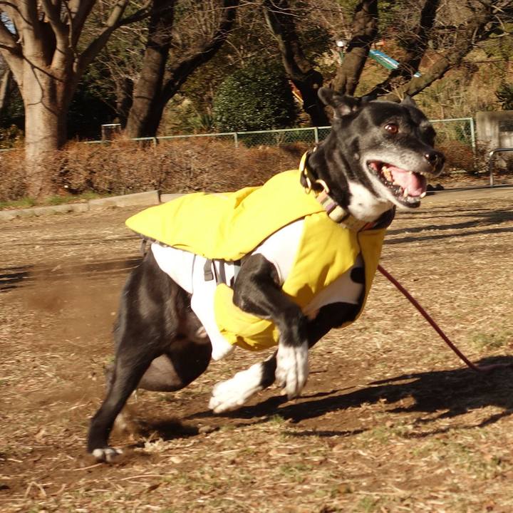 22ec7179 8a75 4e1e a805 74ffe65b71f3 1740443858828