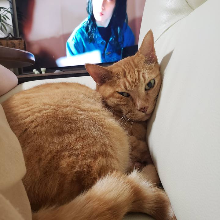 22ec7f93 649c 4b09 b3ca 306192c22ea9 1721955668764