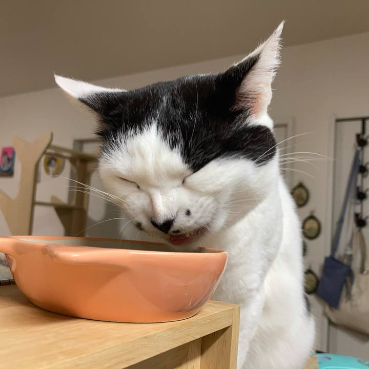 22eca85b f32a 4a01 bf93 4e61b817278b 1770413290122