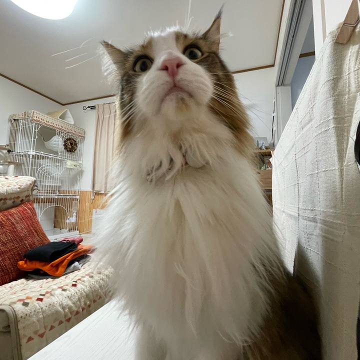 22eca8d0 11ca 4bc8 b1a0 3a8dd4ce6356 1702322956650