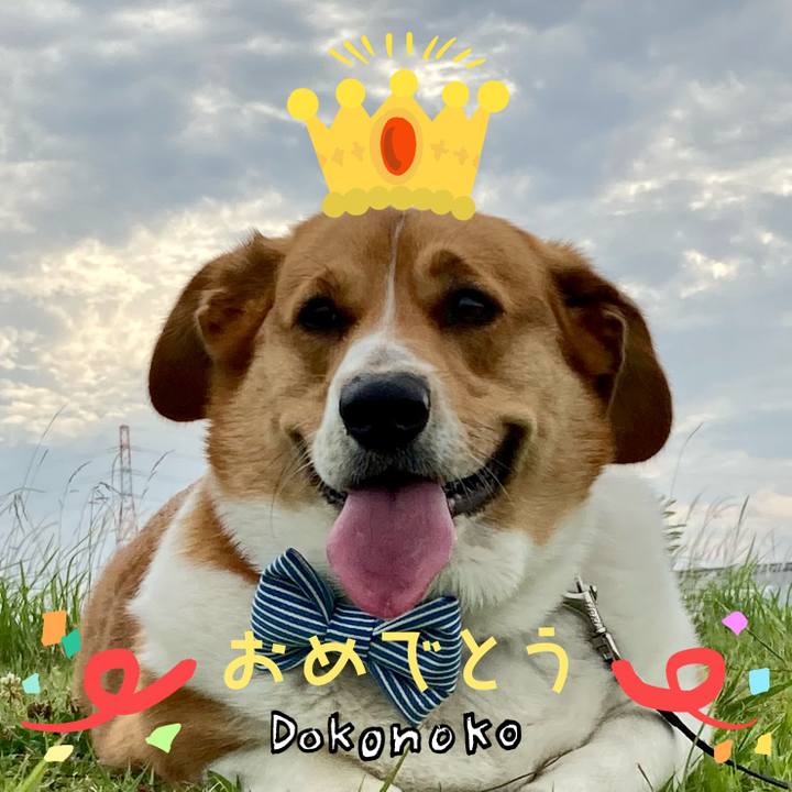 22ed0dcc da6c 40e0 968c 2c858a022629 1685931632721