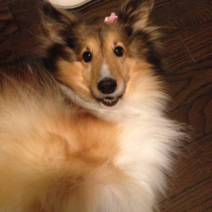 22ed6b77 5481 4bfd b698 531d7e657395 1564241264020