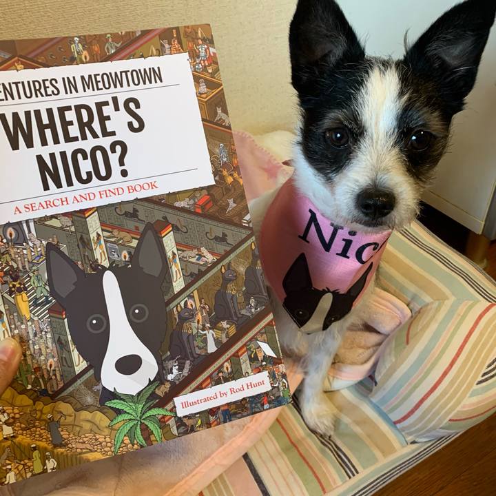 22ed7667 c258 49e2 b137 4f29dac791a5 1608034589588