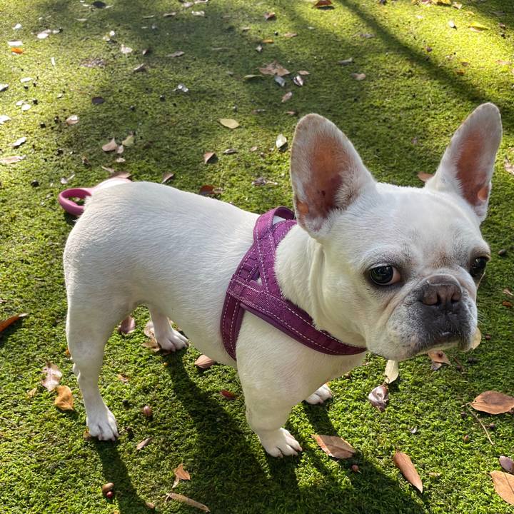 22ed8025 3f9a 4d15 9944 886a01115c74 1732697192501