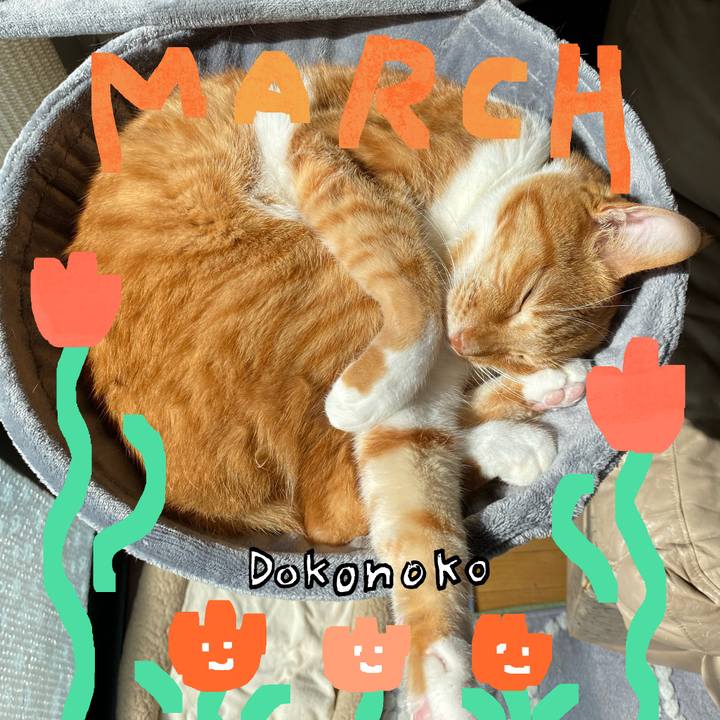 22ee2bfa fe6a 4eb2 a5c7 4e88426d5ea9 1741056639045