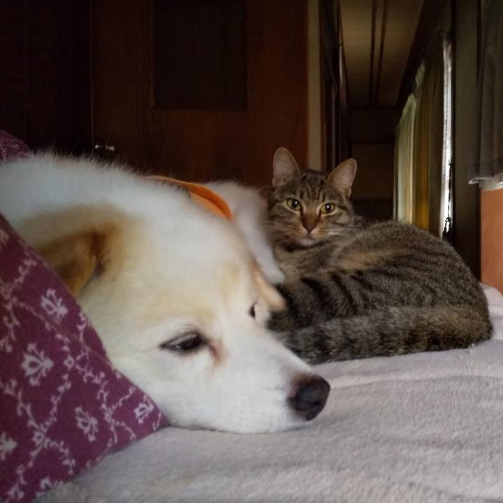 22ee3d81 906b 4ac5 a0e9 1e85a3a88f8b 1650598399024