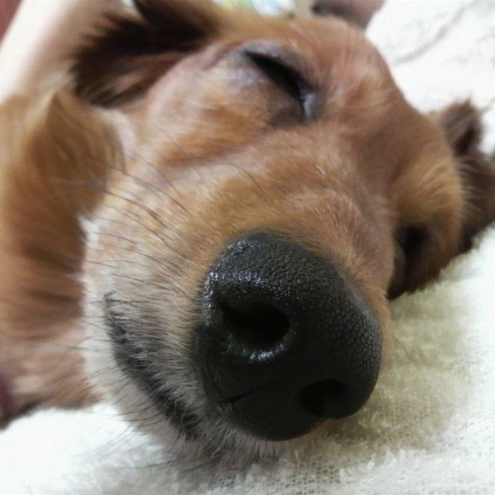 22ee4513 1147 4364 aa5f b225f2df6c25 1553196030243