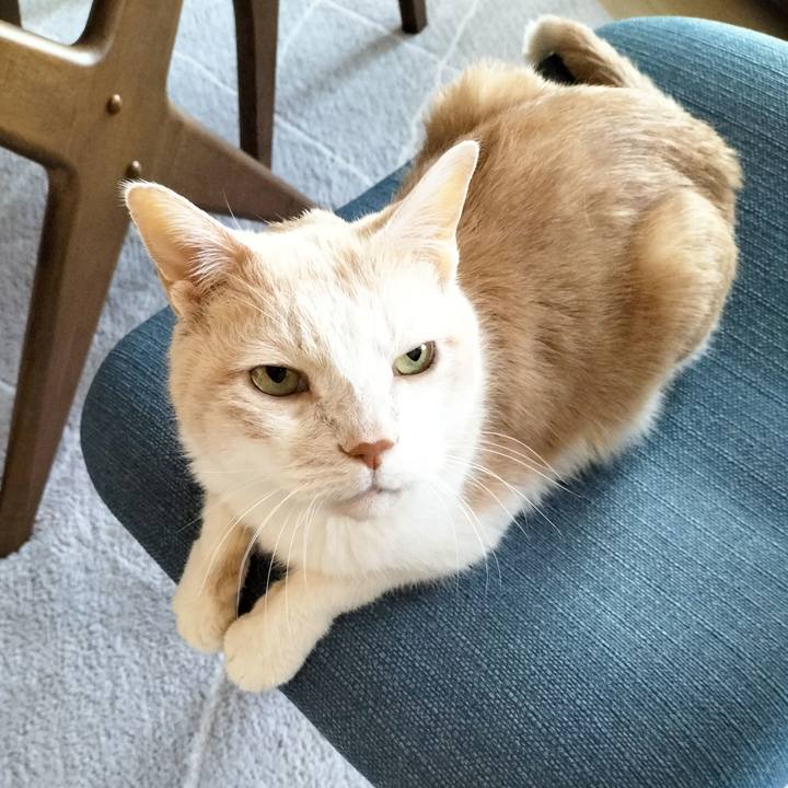 22ee4c64 fdbc 4c01 8a9f 329b781c7716 1707863398306