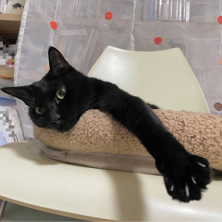 22ee5eff b8ab 4811 b310 de956b8636fb 1676303149196