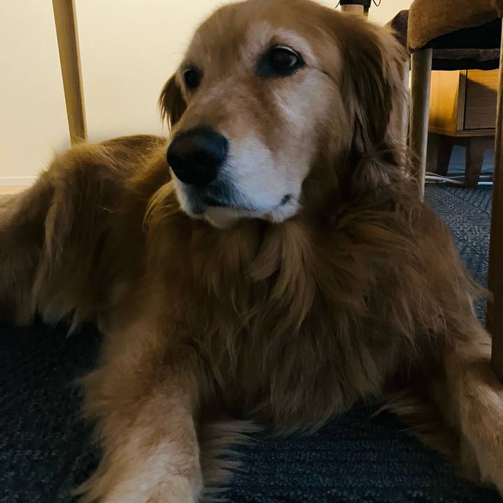 22ee7a2e 7b2b 44b9 91b1 8df86b24042a 1721893075848