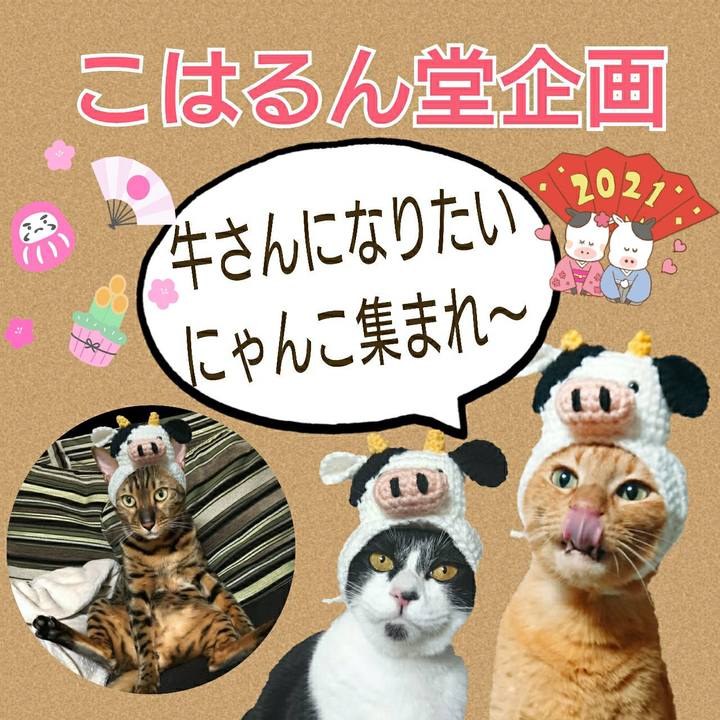 22ee9ad0 ce9d 4cc3 a9bb 2b6c6c2defae 1609655624960
