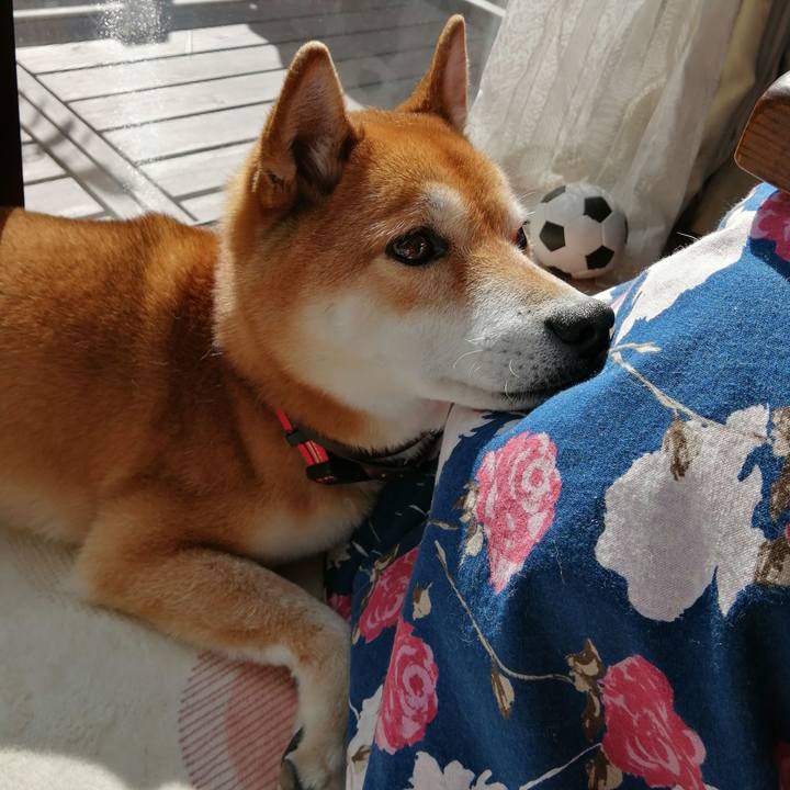 22ef34e6 ccbe 4c98 9689 5cbc888d8e9b 1645012970474