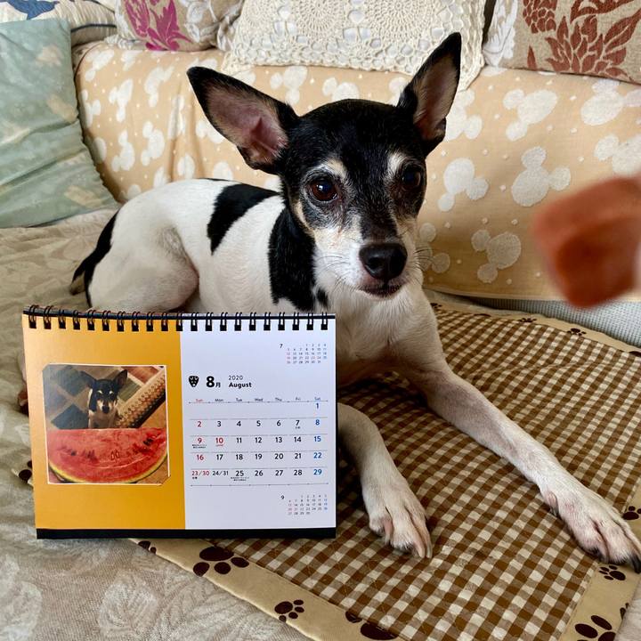 22ef5a28 fa89 475a 88dc 2bdefaa933e1 1596454938627