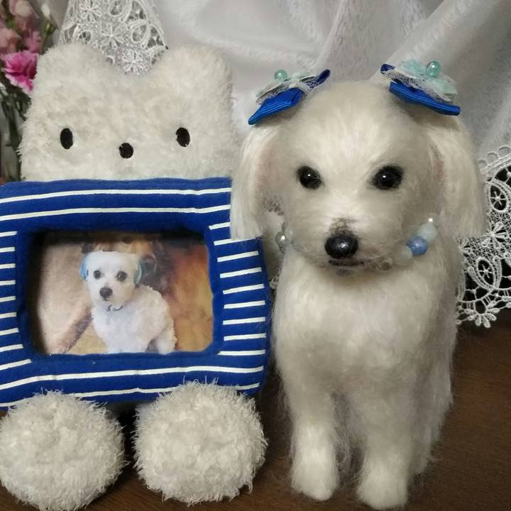 22ef68a6 a30d 45bc bb28 9b2a59db76c8 1542889984413