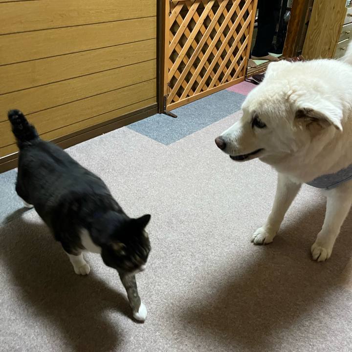 22ef6bf2 f132 439c 9682 9e504da775e0 1760139432526