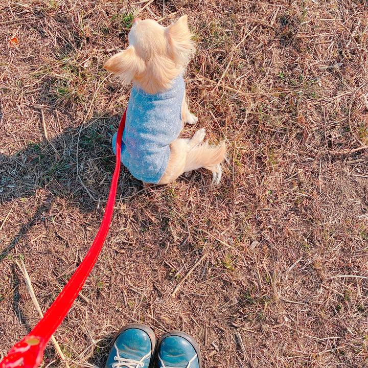 22ef7aa8 ddd1 4d4b 9713 750d75f4e8b4 1644303739274