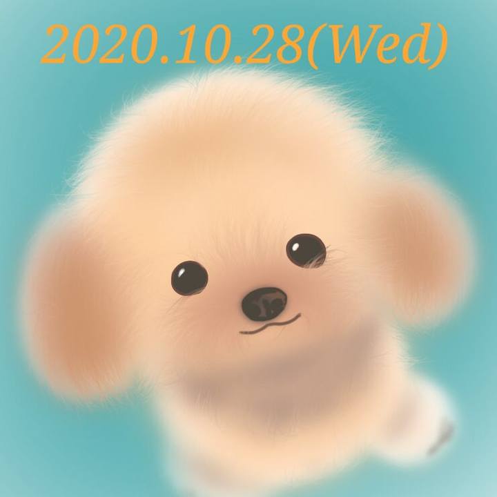 22ef88f3 a4e0 41e6 b149 1211ff63ddac 1603888739041