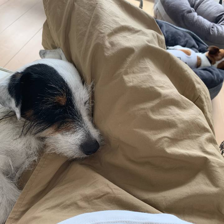 22ef906d 6b79 431d ac68 4ce16290da18 1591065927253