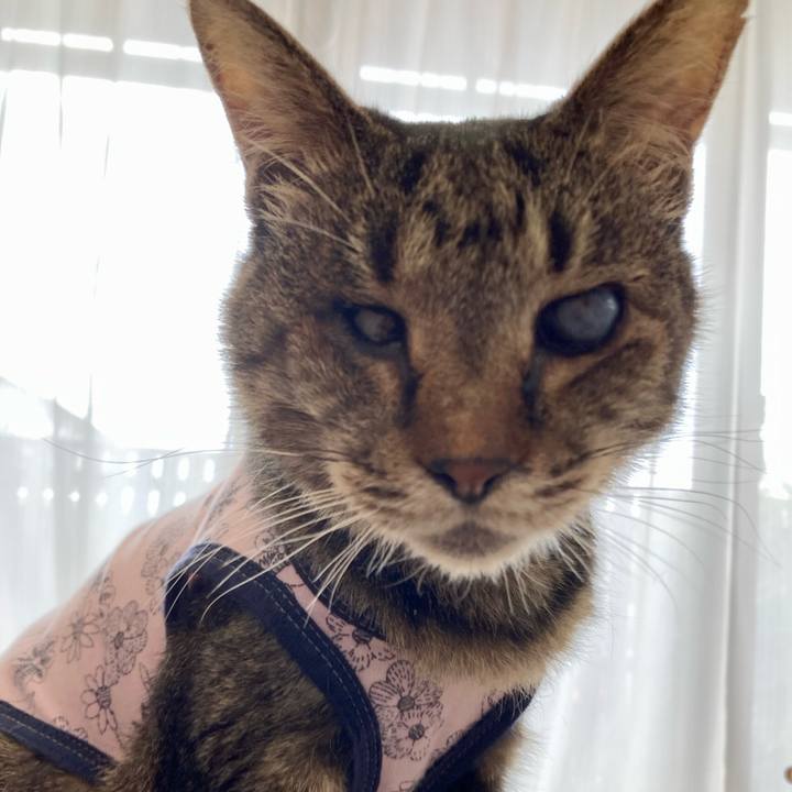 22f021b9 70c1 465b 8d05 df60066103e0 1680417771979