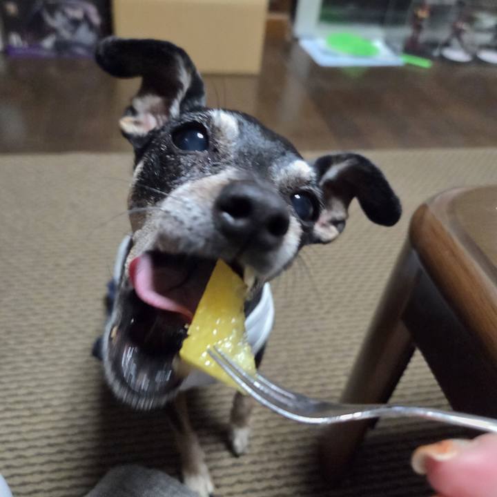 22f02e95 5f97 4739 b1d2 9c2d8a58bc66 1754738812330