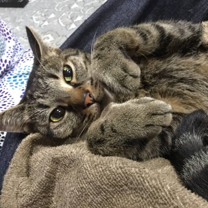 22f038eb 0f23 4a52 a081 faf4f73c5652 1531576645191